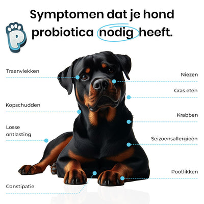 Probiotica Snacks