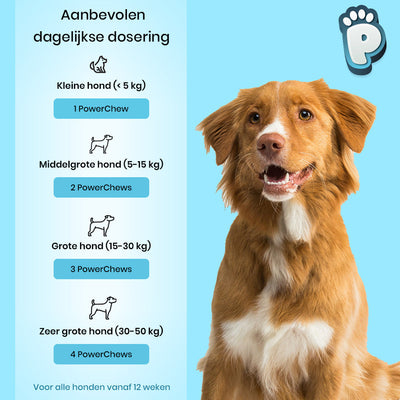 Probiotica Snacks