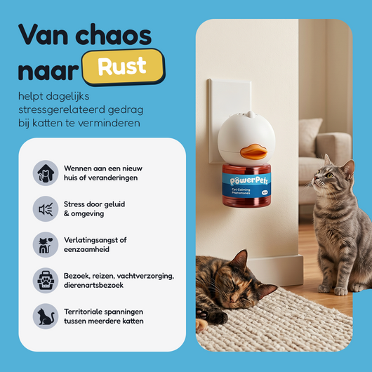 DualCalm™ Diffuser Set