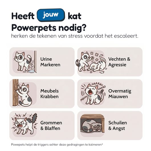 DualCalm™ Diffuser Set